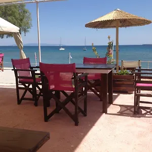 επισκεφθείτε το ξενοδοχείο