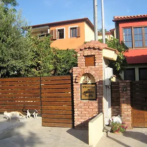 Arabas 3*, Thessaloniki Griechenland